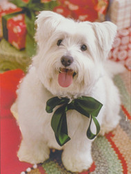 Hallmark 15 Puppy Dog Green Bow Holiday Christmas Cards