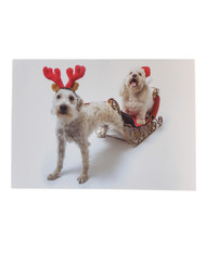 Trimmerry 16 Reindeer Dog Pulls Santa Puppy Sleigh Ride Holiday Christmas Cards