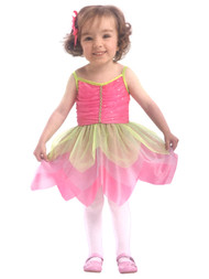 Totally Ghoul Toddler Girls Colorful Garden Fairy Dress & Wings Costume 4T