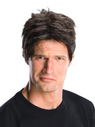 Halloween Men's Brown Idol Judge Wig