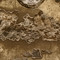 Image 2 Image 2