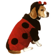 Plush Red Ladybug Dog Costume 2PC Pet Lady Bug Halloween Outfit