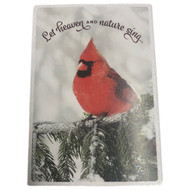 Dayspring Red Cardinal Christian Heaven & Nature Sing Christmas Cards Luke 2:10