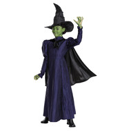 Girls Wicked Elphaba Dress With Cape & Hat Halloween Costume