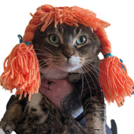 Cat Pet Costume Braided Orange Wig