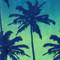 Image 5 Image 5