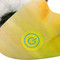 Image 5 Image 5
