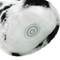 Image 5 Image 5