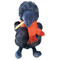 Image 1 Image 1