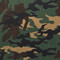 Image 4 Image 4
