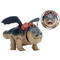 Image 5 Image 5