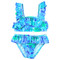 Image 1 Image 1