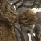 Image 2 Image 2