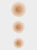 Adhesive nipples by Amoena