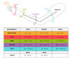 Lymphedivas Size Chart