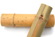 Bamboo: 3" Diameter