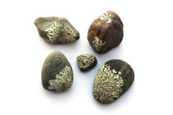 Lichen Covered Stones (5 pack)