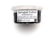 Temperate White Springtail Culture