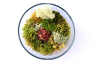 Deluxe Moss Mix