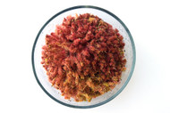 Sphagnum - Red