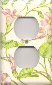 Morning Glory - Outlet