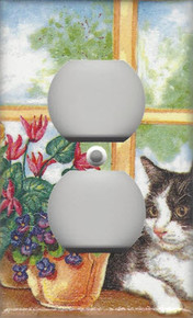 Black & White Cat in Window - Outlet
