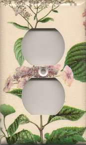 Light Pink Hydrangea - Outlet