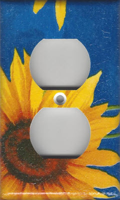 Blue Sunflower Outlet