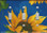 Blue Sunflower Triple Switch