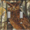 Forest Owl Double Switch
