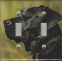Black Lab Double Switch