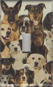 All Dogs with German Shepherd, Rottweiler Single Switch