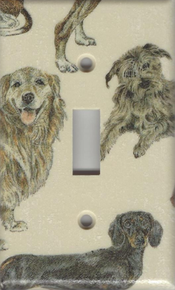 Dogs - Golden Retriever, Dachshund, Benji - Single Switch
