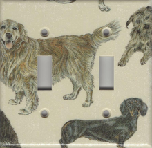 Dogs - Golden Retriever, Dachshund, Benji - Double Switch