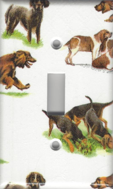 Setters Single Switch