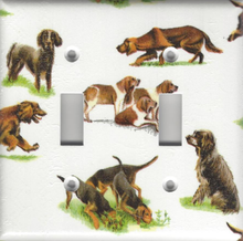 Setters Double Switch