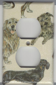 Dogs - Dachshund, Benji, Golden - Outlet
