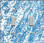 Nautical Chart Double Switch