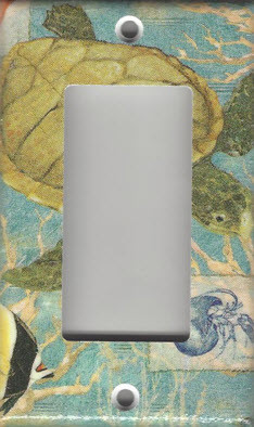 Sea Turtle - GFI/Rocker