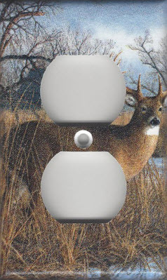 Deer - Outlet