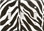 Zebra Stripes - Triple Switch
