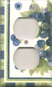 Blueberries - Outlet