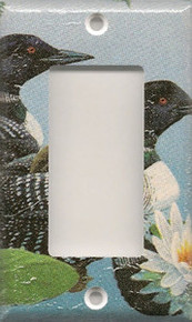 Blue Loon - GFI/Rocker