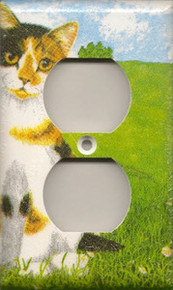 Multi Colored/Money Cat - Outlet