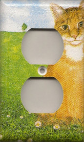 Orange Tabby - Outlet