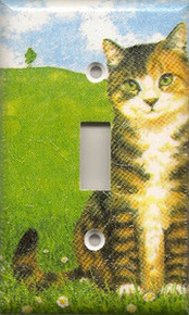 Black Striped Tabby - Single Switch