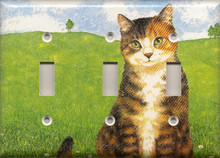 Black Striped Tabby - Triple Switch