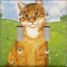 Orange Tabby - Double Switch
