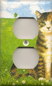 Black Striped Tabby - Outlet