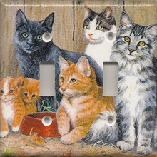 Cats - Double Switch